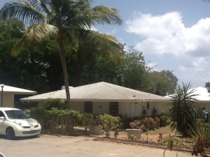 Palm Tree Villa